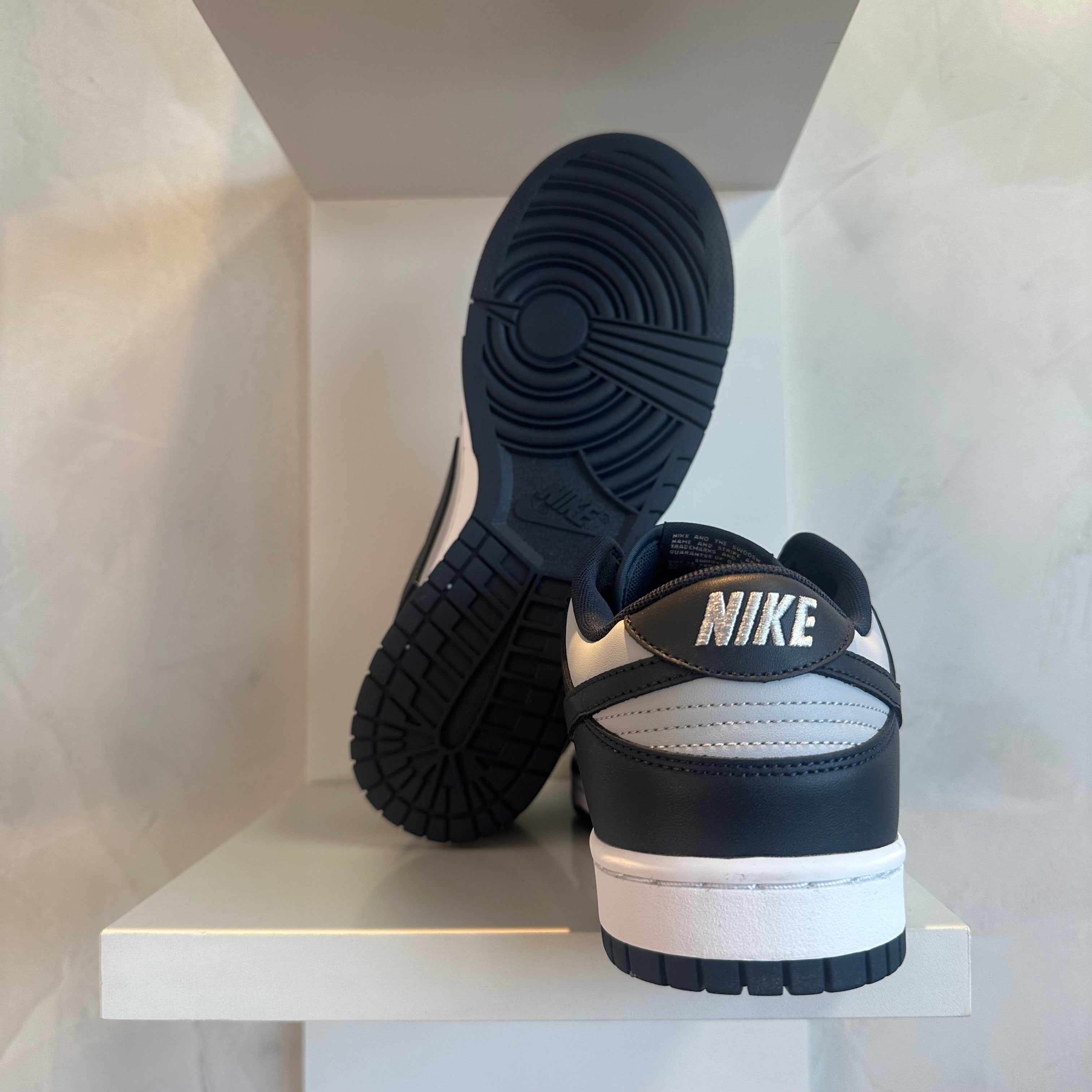Nike Dunk Low Georgetown (Pronta Entrega)