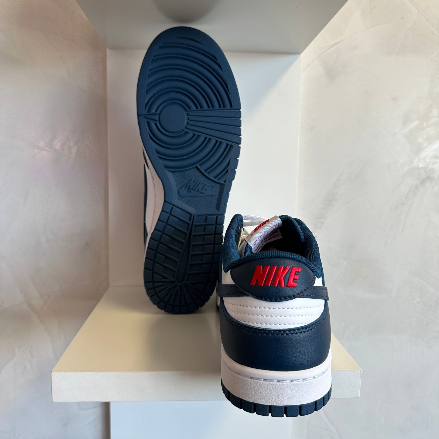 Nike Dunk Low Valerian Blue (Pronta Entrega)